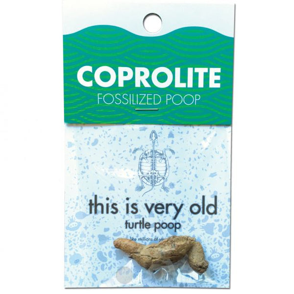 Coprolite - Fossilized Turtle Poop